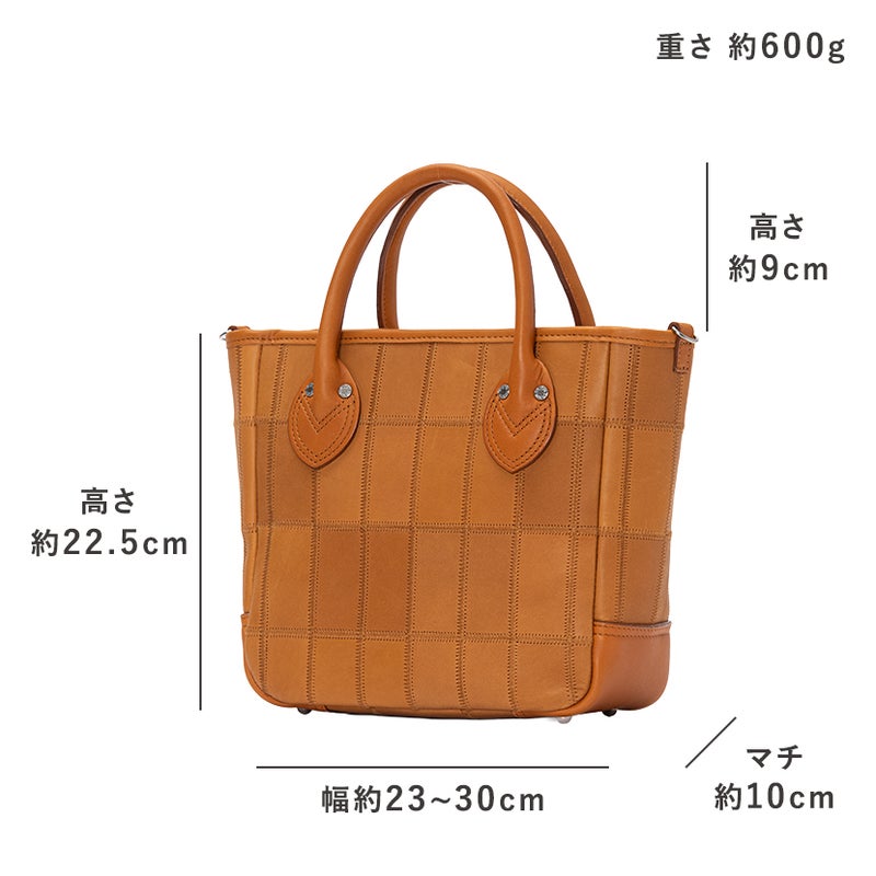 トライオン 2WAYショルダー DPC252SR