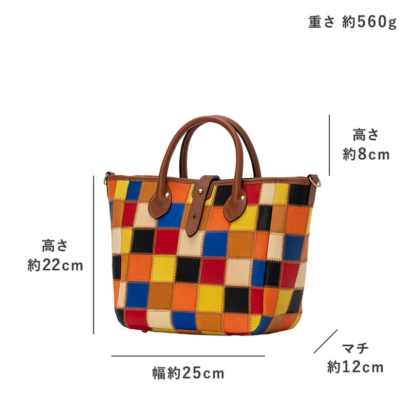 トライオン DPC281M 2WAYショルダー マルチカラー